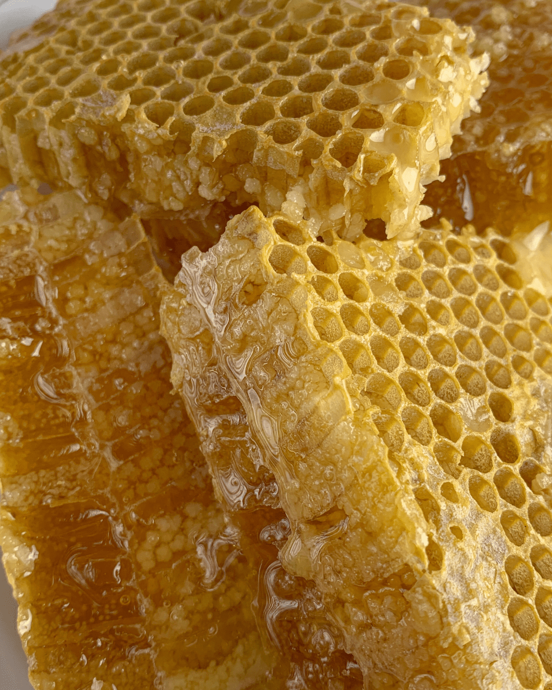 Article : Quels sont les bienfaits du miel sur la peau ?